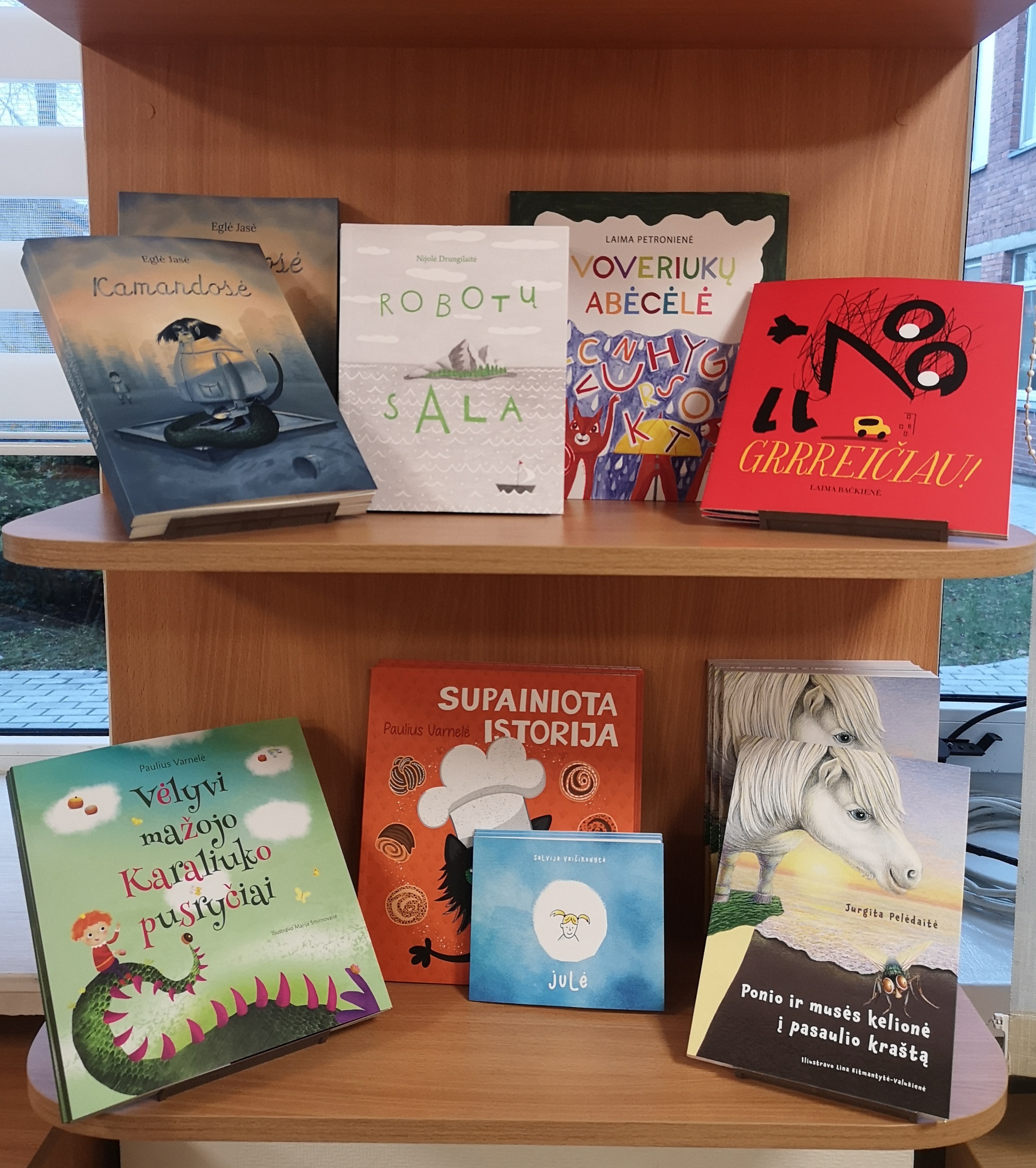 Mokyklos bibliotekoje naujų knygų siunta